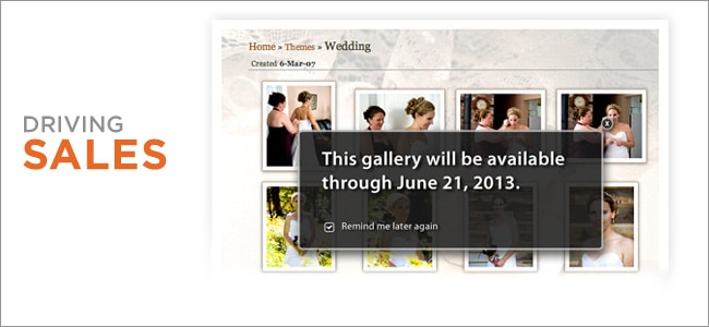 Photographers Corner: Driving Sales, Zenfolio